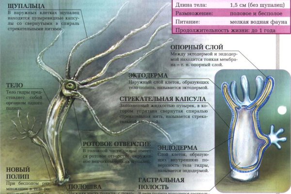Kraken зеркало krakentor site