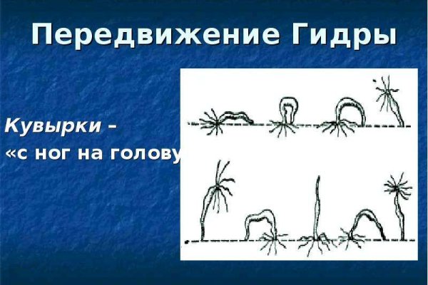 Кракен даркнет только через торг