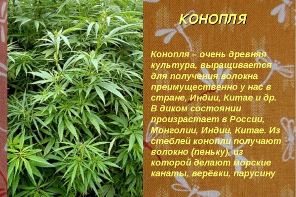 Ссылка на кракен реальная