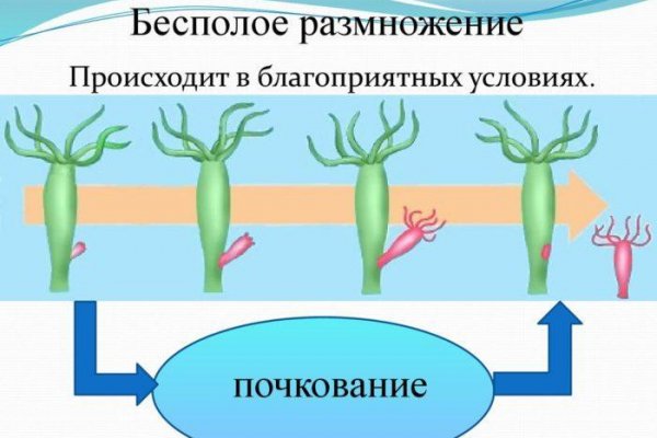 Что с кракеном сегодня сайт