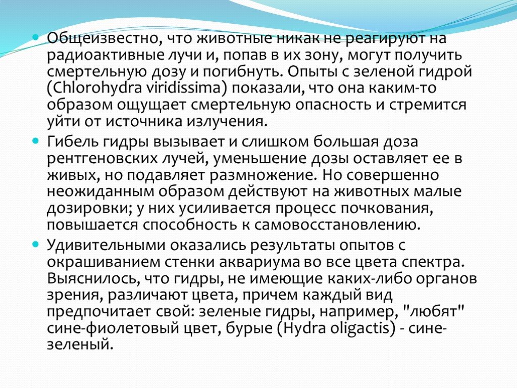 Кракен даркшоп